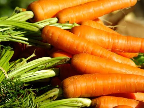 人参をもらう夢