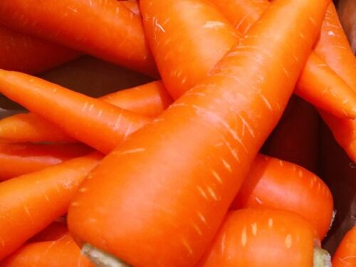 【状況別】人参の夢占い