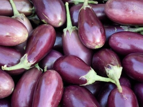 正月に見る茄子の夢占いと意味