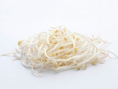 もやしの夢を見る時のスピリチュアルメッセージ