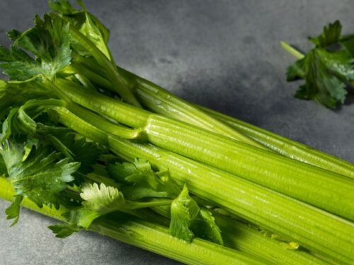 セロリの夢占いと基本的な意味