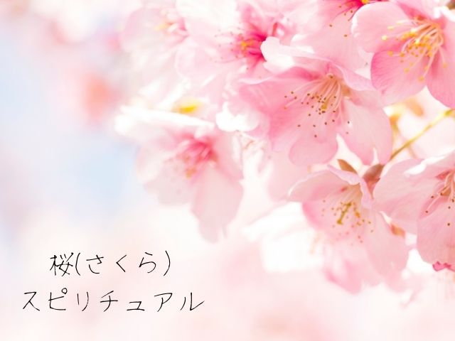 桜・スピリチュアル・花びら・狂い・咲き・意味・エネルギー・蕾・縁起が良い