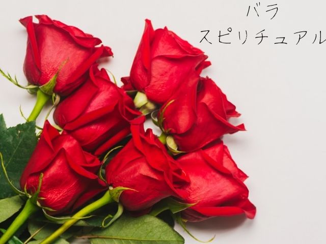 薔薇・バラ・スピリチュアル・花・蕾・意味・枯れる