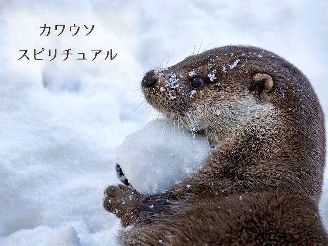 カワウソ・スピリチュアル・意味・メッセージ・波動