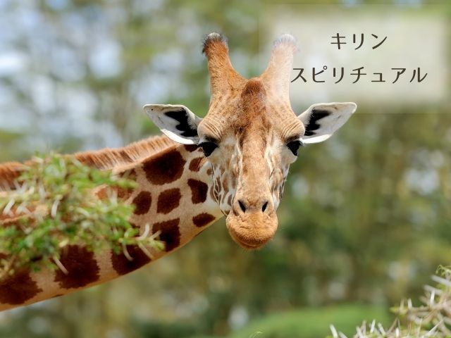 キリン・スピリチュアルメッセージ・意味・動物・金運・恋愛・波動