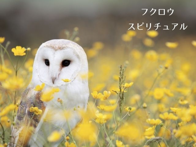 フクロウ・スピリチュアル・意味・メッセージ・神社・置物・夜見た