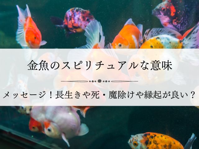 金魚・スピリチュアル・意味・メッセージ・長生き・死・魔除け・縁起が良い