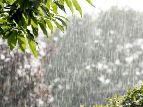 特定の人に会うと雨が降るスピリチュアル