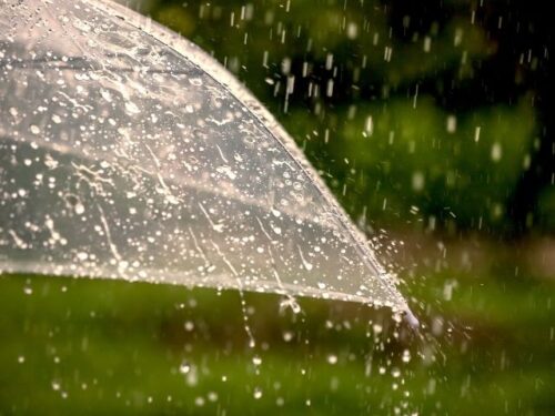 神社参拝の日に雨予報だった時のスピリチュアルな意味