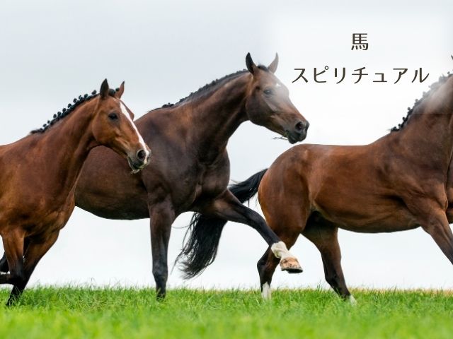 馬・スピリチュアル・意味・象徴・惹かれる・好かれる