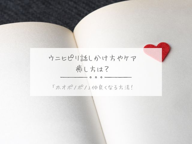 ウニヒピリ・話しかけ方・ケア・癒し方・ホオポノポノ・仲良くなる方法