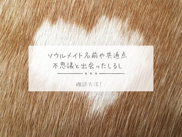 ソウルメイト・名前・共通点・不思議・出会ったしるし・確認方法