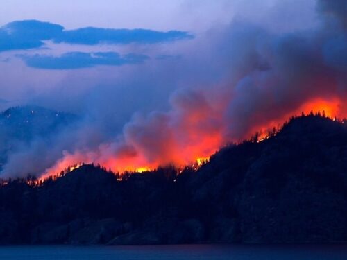 山火事の夢を見たら宝くじが当たる？