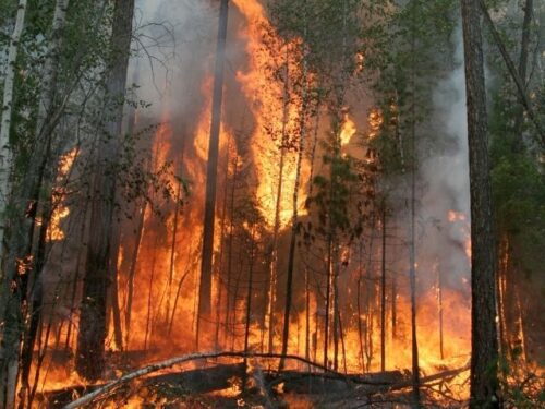 山火事を見ている夢の意味