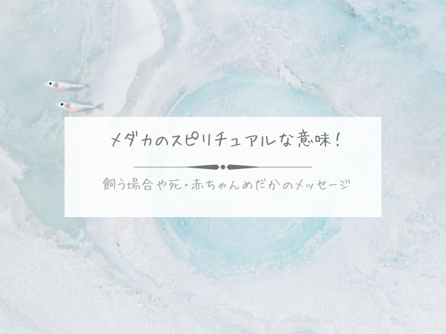 メダカ・スピリチュアル・意味・飼う・死・赤ちゃん・黒いめだか・メッセージ