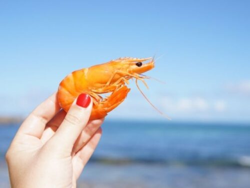海老を捕まえる・釣る夢