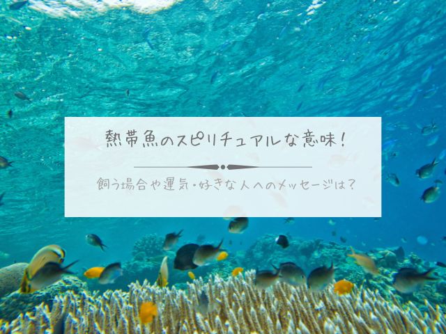 熱帯魚・スピリチュアル・意味・飼う・運気・好きな人・メッセージ