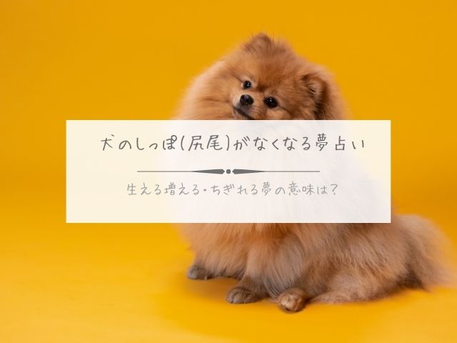 犬のしっぽ・尻尾・なくなる・夢占い・生える・増える・ちぎれる夢・意味