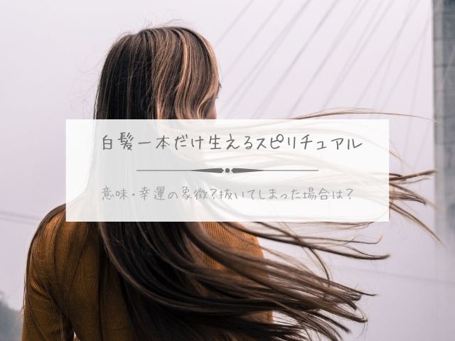 白髪・一本だけ・生える・スピリチュアル・意味・幸運の象徴・抜いてしまった