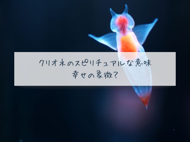 クリオネ・スピリチュアル・意味・幸せ・象徴・好きな人・飼いたくなる