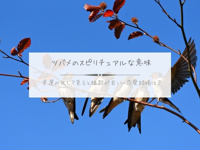 ツバメ・スピリチュアル・意味・幸運の兆し・見る・縁起が良い・恋愛・結婚