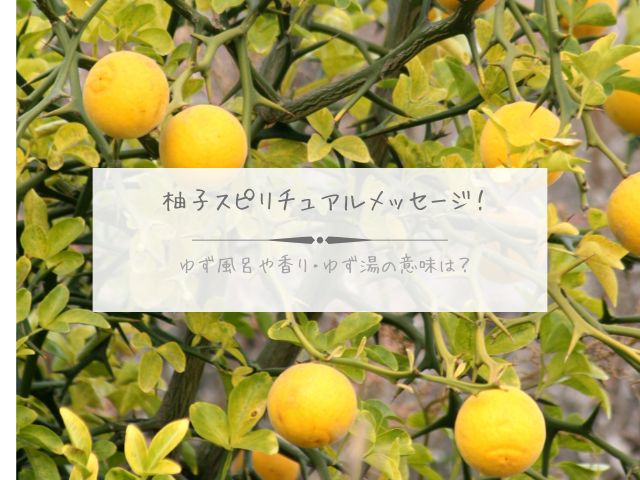 柚子・スピリチュアル・メッセージ・ゆず風呂・香り・ゆず湯・意味