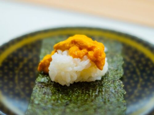 ウニの夢を見た人へのアドバイス