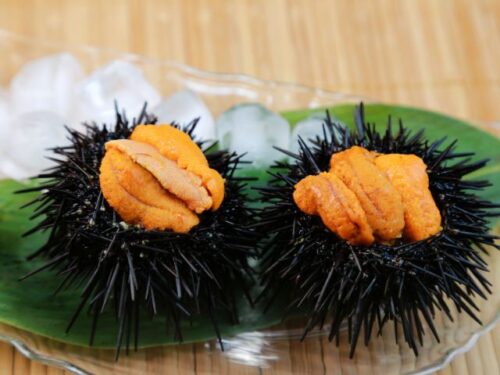 ウニの状況別夢占いと意味