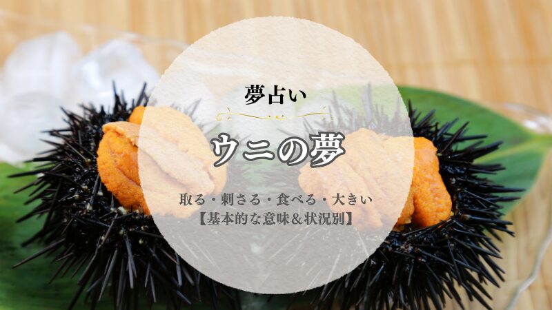 ウニ・夢占い・意味・取る・刺さる・食べる・大きい・買う・状況別