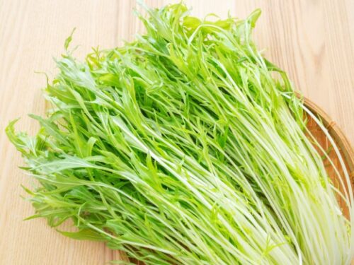 水菜のスピリチュアルな意味と象徴