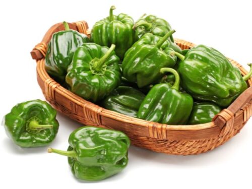 ピーマンの夢を見た人へのアドバイス