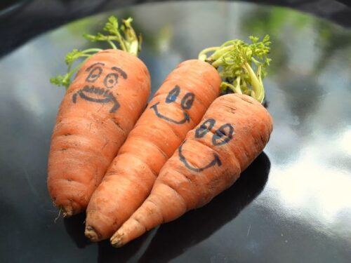 人参に追いかけられる夢