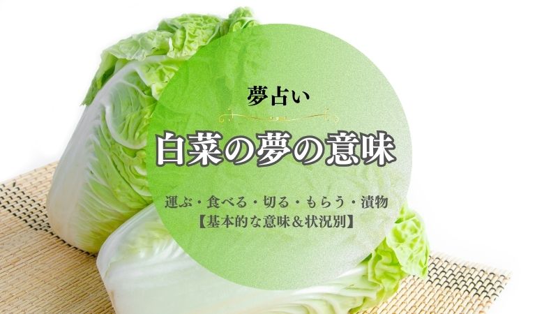 白菜・夢占い・運ぶ・夢・意味・食べる・切る・もらう・漬物・状況別・メッセージ