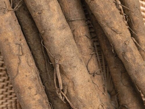 ごぼうの夢占いと基本的な意味