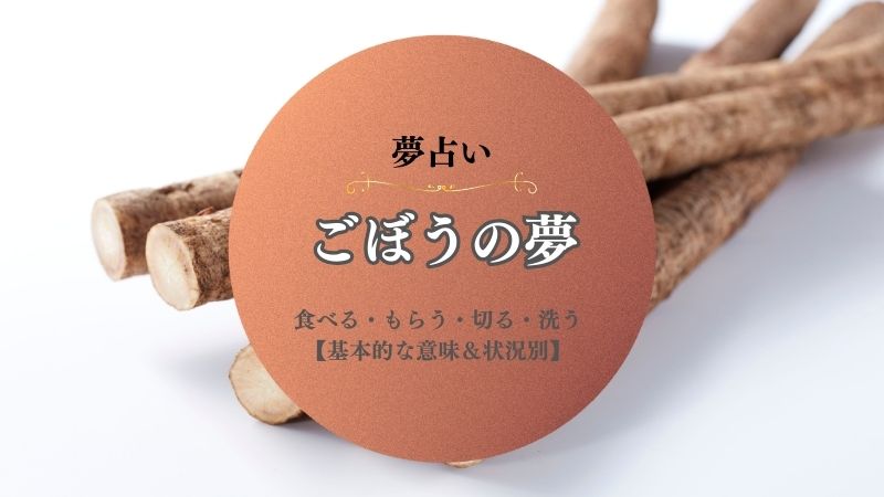 ごぼう・夢占い・意味・食べる・もらう・切る・洗う・きんぴらごぼう・状況別