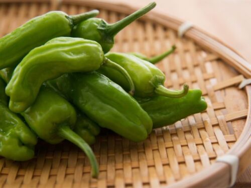 ししとうの夢占いと基本的な意味