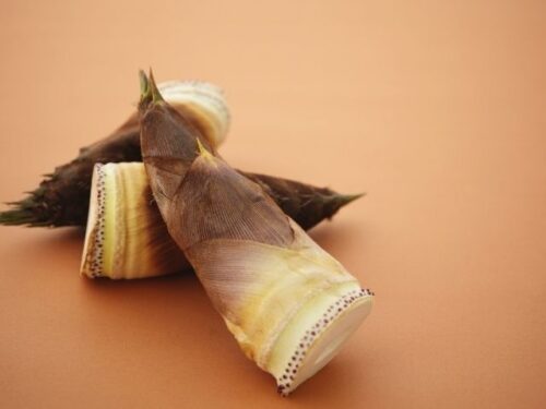 たけのこの状況別夢占いと意味