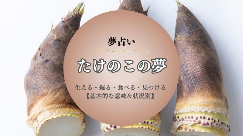 たけのこ・夢占い・食べる・意味・生える・掘る・見つける・とる・伸びる・状況別