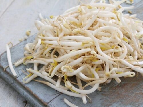 もやしの夢占いと基本的な意味