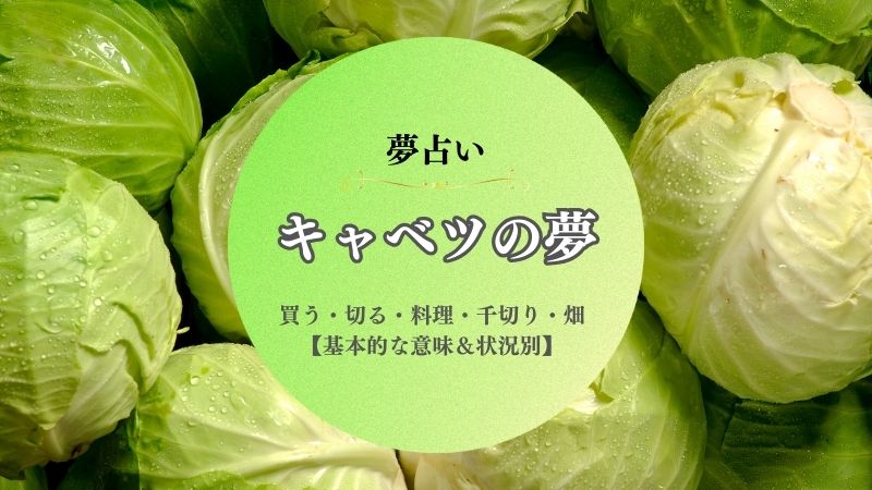 キャベツ・夢占い・意味・千切り・刻む・畑・収穫・買う・もらう・大きい・状況別