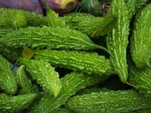 ゴーヤの夢の基本的な意味