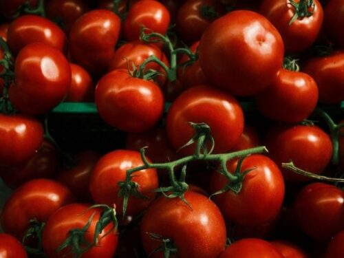 トマトの夢占いと基本的な意味