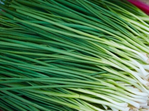  ニラの状況別夢占いと意味