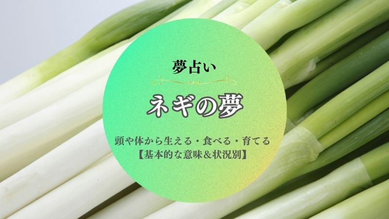 ネギ・夢占い・頭・鼻・体・生える夢・意味・植える・抜く・育てる・盗む・状況別