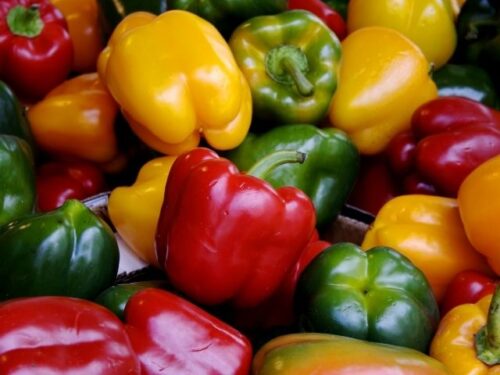 パプリカの夢を見た人へのアドバイス