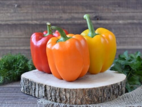 パプリカの夢を見る時のスピリチュアルメッセージは？