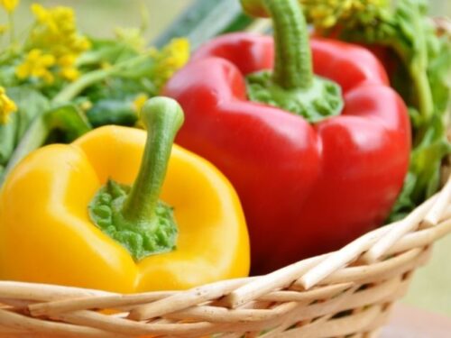 パプリカの夢占いと基本的な意味