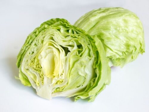 レタスをあげる夢