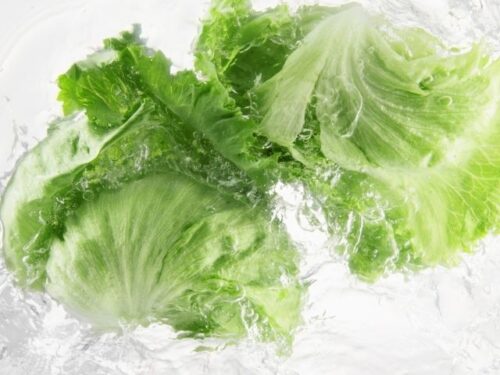 レタスの夢占いと基本的な意味