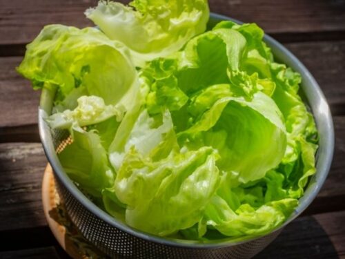 レタスを誰かと食べる夢
